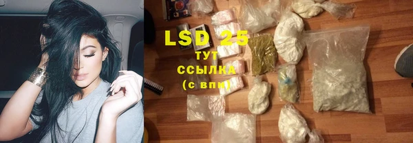 PSILOCYBIN Осташков