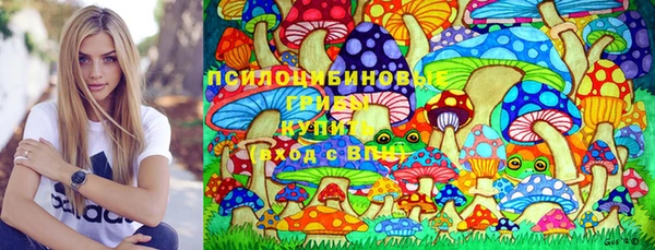 PSILOCYBIN Осташков