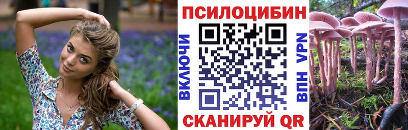 Галлюциногенные грибы Cubensis  Андреаполь 