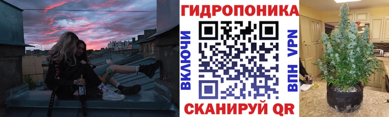 Бошки Шишки марихуана  как найти закладки  Андреаполь 